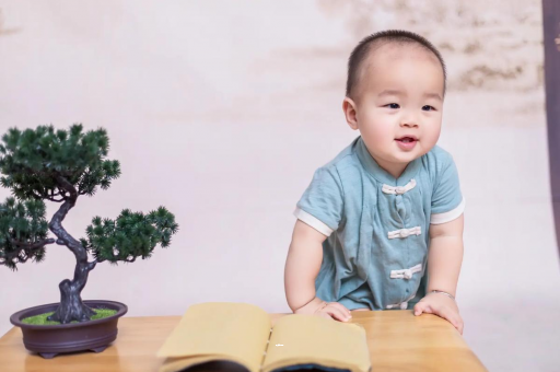 上饶可爱的企鹅宝宝